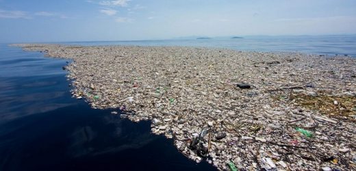 LA PLASTICA –  E’ l’isola che non c’è, o non dovrebbe esserci, ma c’è!