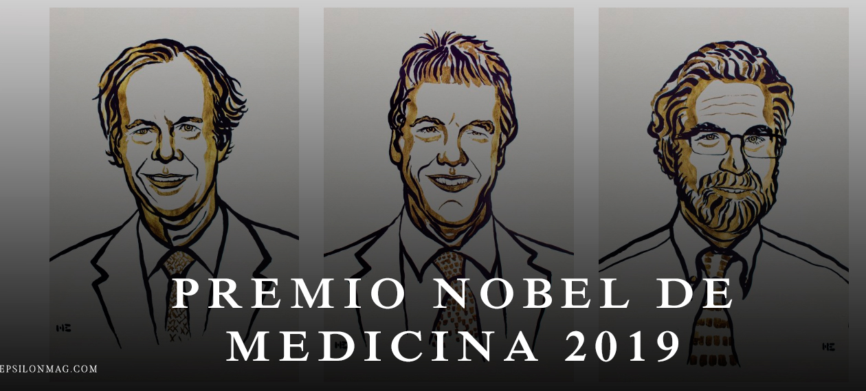 Premio Nobel per la medicina 2019